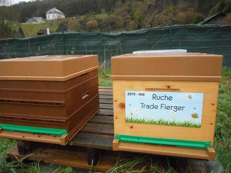 La ruche Trade Fierger